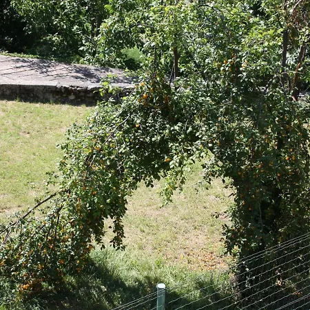 Apartment Vesna *