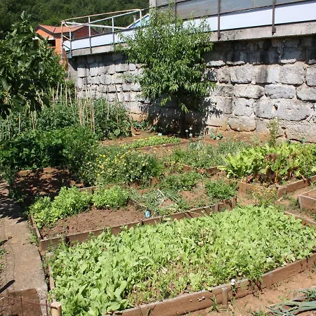 Apartment Vesna Opatija