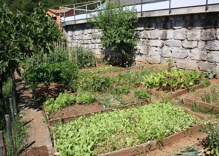 Apartment Vesna Opatija