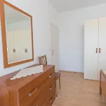 Appartement Vesna *