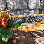 Appartement Vesna *